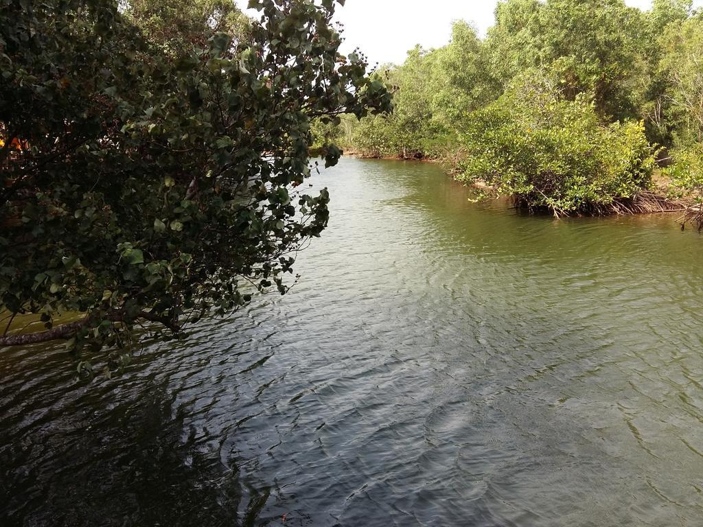 סיהאנוקוויל Mangroves & More @ Cambodia מראה חיצוני תמונה