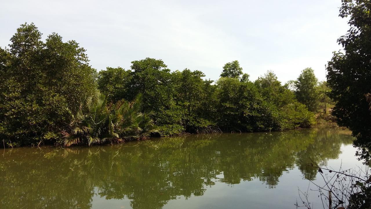 סיהאנוקוויל Mangroves & More @ Cambodia מראה חיצוני תמונה